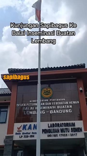 Balai-Inseminasi-Buatan-Lembang-Tiktok.JPG